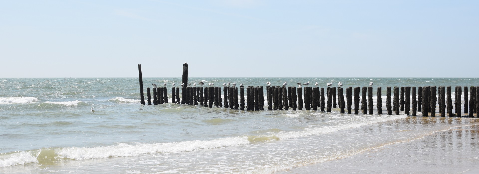DSC_0696.JPG