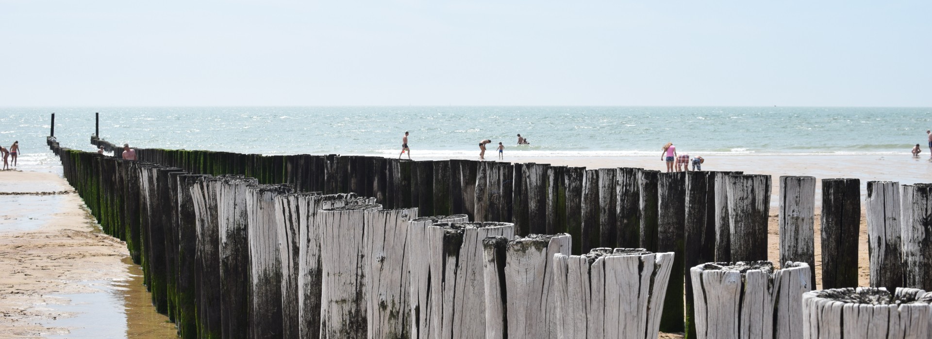 DSC_0562.JPG